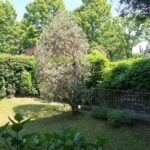 Ampia villa a schiera con giardino Gallarate