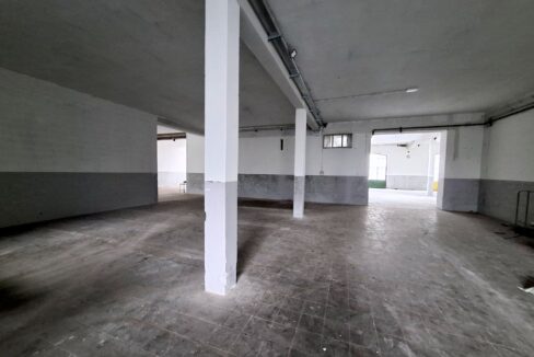 20250313_113557 (Copia)