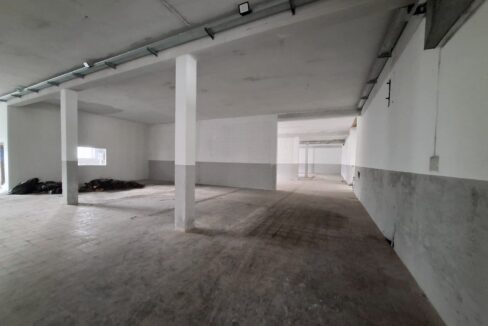 20250313_113621 (Copia)