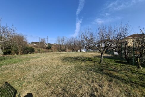 20250307_102237 (Copia)